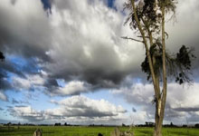  -工程咨询公司与天地勘察设计院合并成功