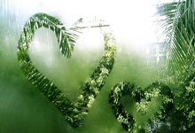 网上买球怎么买 -山西汾酒一季度报发布，数据背后价值几何？关键锁定这些核心要素