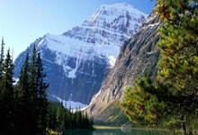 网上买球怎么买 -山西汾酒一季度报发布，数据背后价值几何？关键锁定这些核心要素