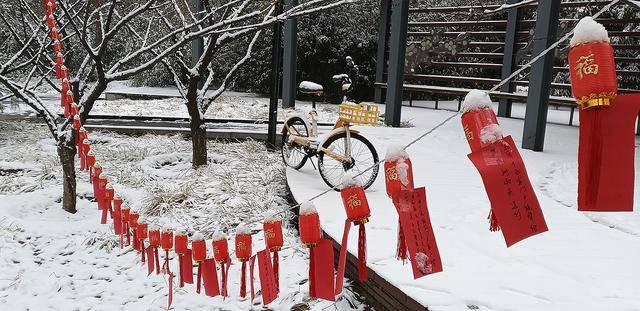 护城河畔雪初霁 左安楼下梅已开